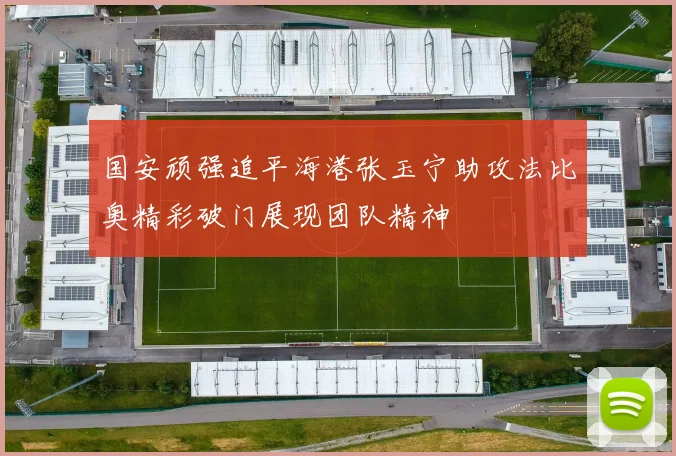 国安顽强追平海港张玉宁助攻法比奥精彩破门展现团队精神