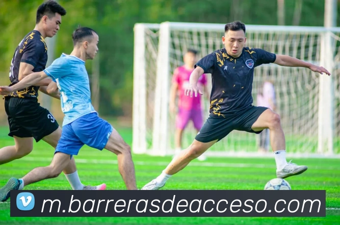 mksports网站平台生态图